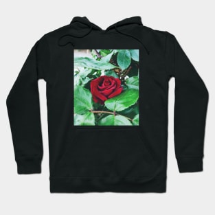 Red Rose Hoodie